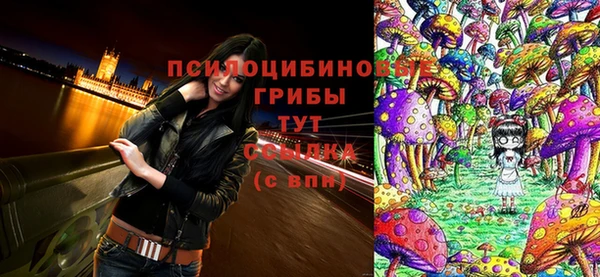 МДМА Горнозаводск