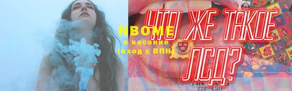 дурь Гусиноозёрск