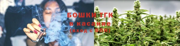 спиды Горняк