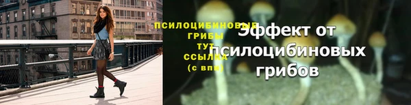прущая мука Горно-Алтайск