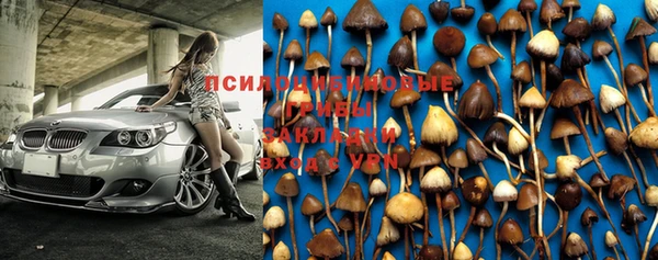прущая мука Горно-Алтайск