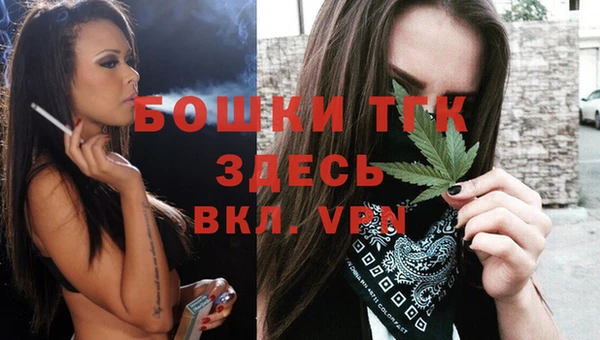 спиды Горняк