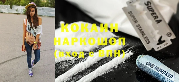 спиды Горняк