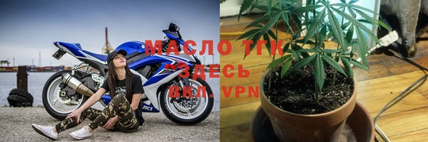 спиды Горняк