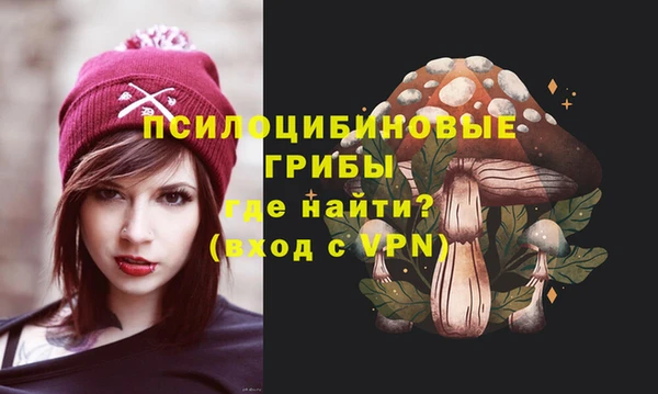МДМА Горнозаводск